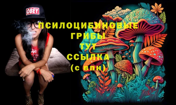 спайс Балахна