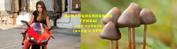 спайс Балахна
