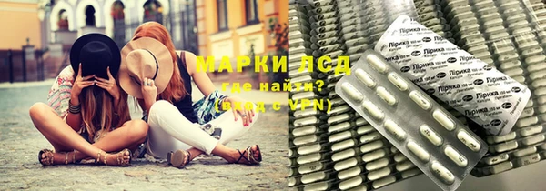 гидра Аркадак