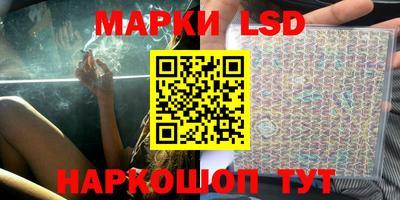 прущие грибы Гусиноозёрск