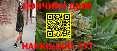 прущие грибы Гусиноозёрск