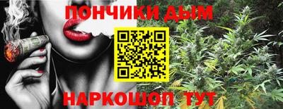 прущие грибы Гусиноозёрск