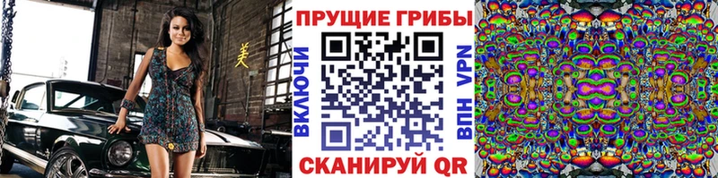 Псилоцибиновые грибы GOLDEN TEACHER  ОМГ ОМГ tor  Долгопрудный 