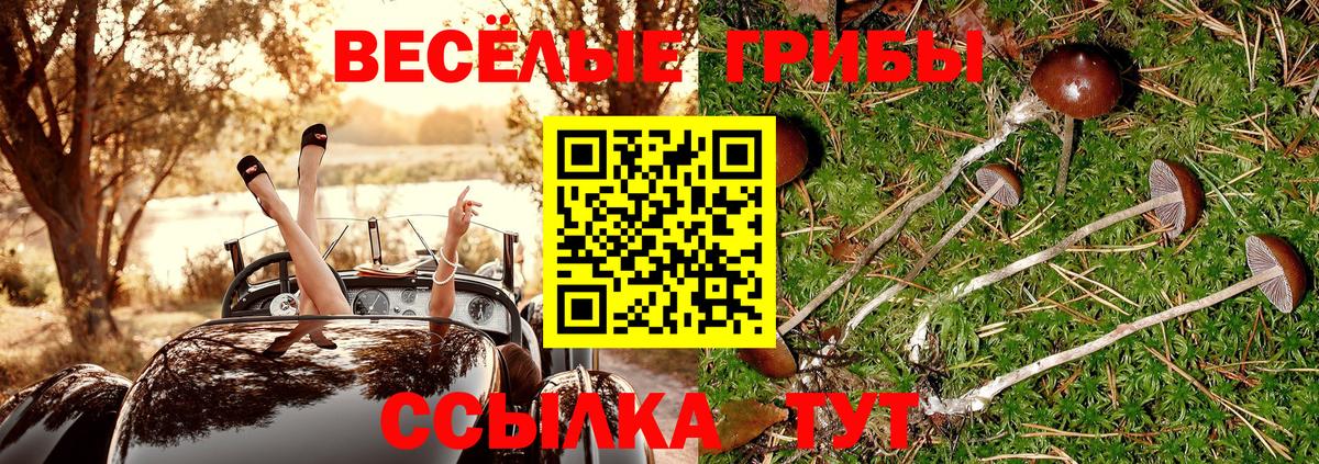 Мефедрон Долгопрудный